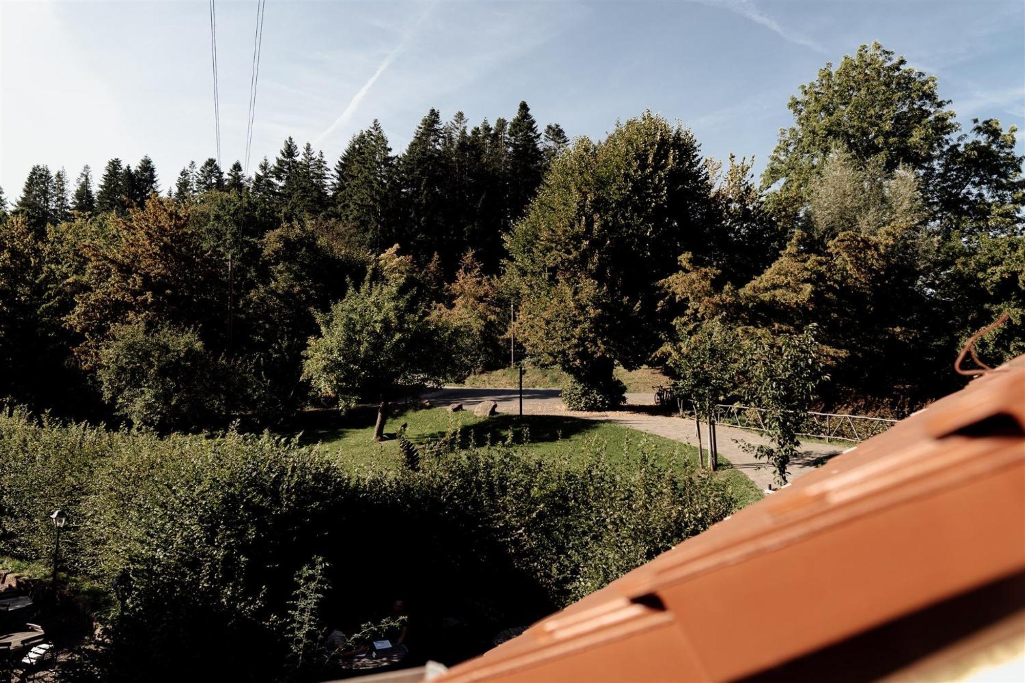 Hotel Dammuehle Marburg Esterno foto